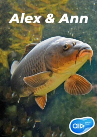 Alex & Ann