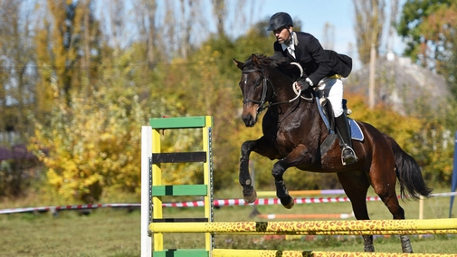 Equestrian Sports. Global Champions Tour. London