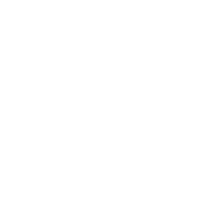 RMF MAXX
