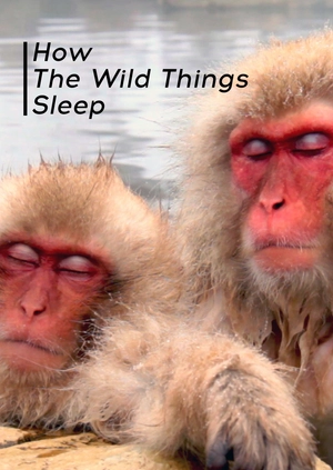 How The Wild Things Sleep