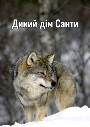 Дикий дім Санти