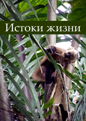 Истоки жизни