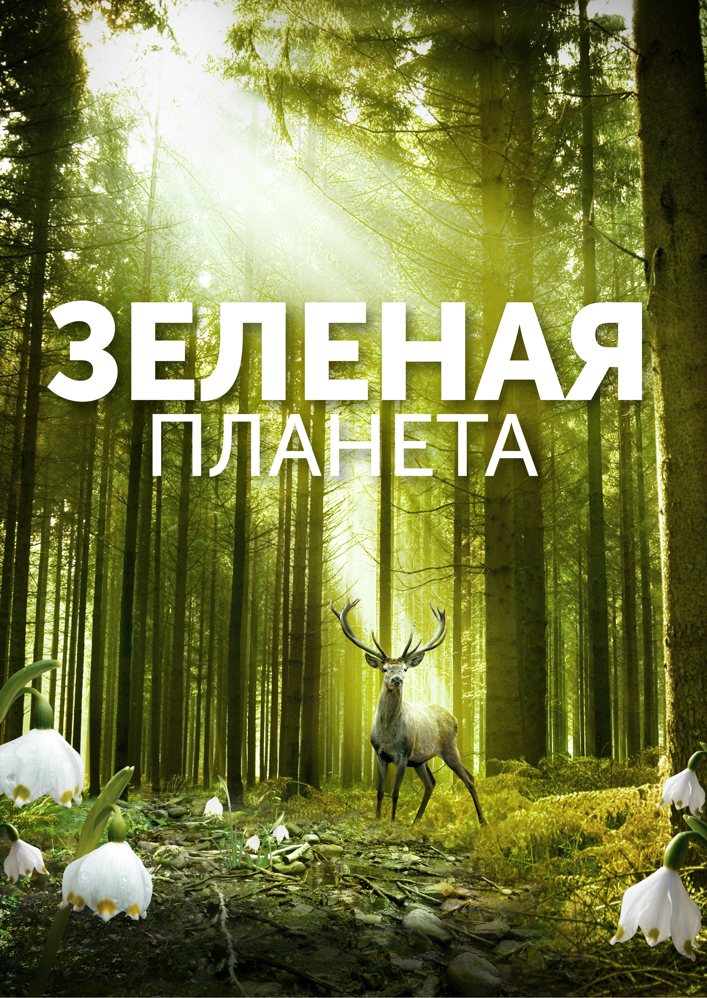 Смотреть Зеленая планета онлайн на Кинопод бесплатно