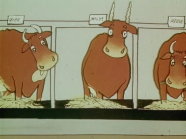 What is a collective farm?