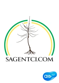 sagentci.com