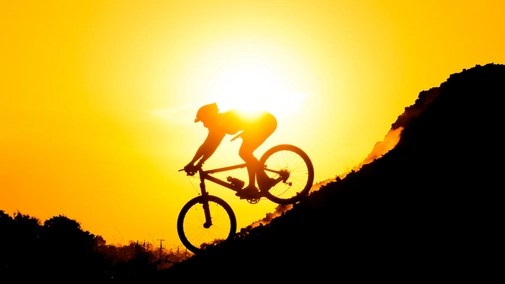 French National Mountain Bike Championships
