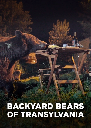 Backyard Bears of Transylvania