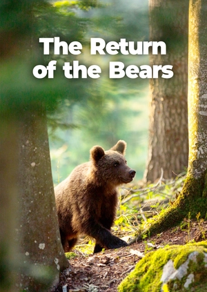 The Return of the Bears