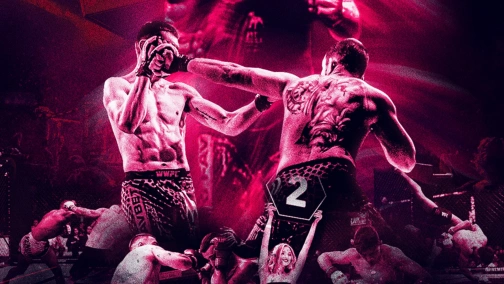 Бійцівський вечір WWFC 23