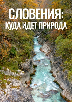 Словения: куда идет природа
