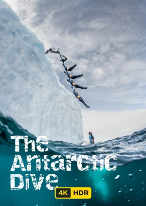The Antarctic Dive UHD HDR