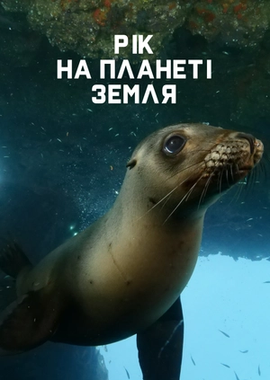 Рік на планеті Земля