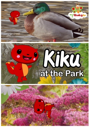Kiku at the Park