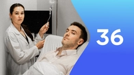 Серія 36