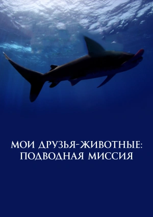 Мои друзья - животные: Подводная миссия