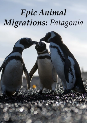 Epic Animal Migrations: Patagonia